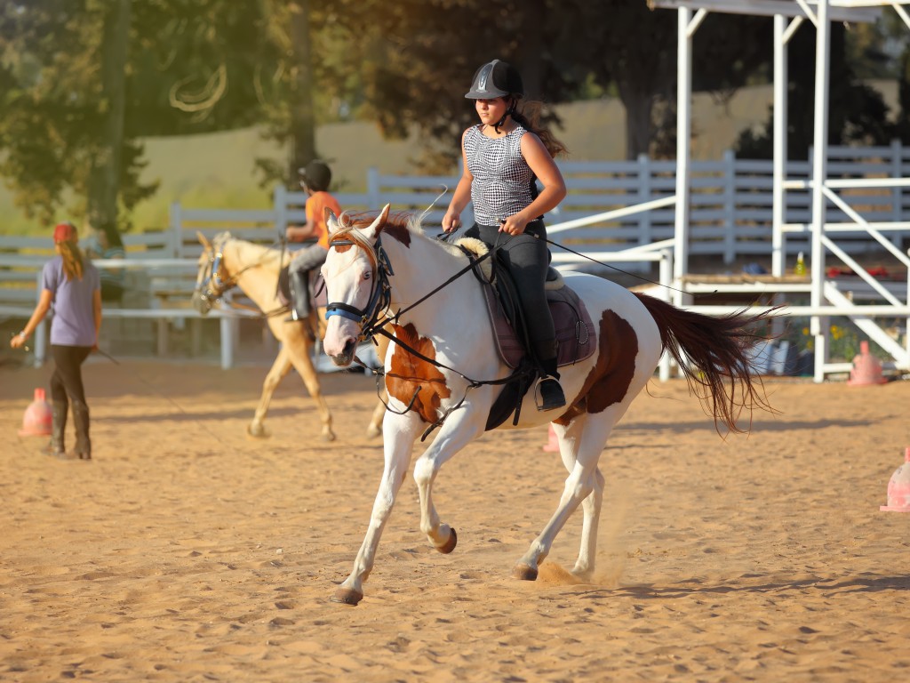 Woman having a horseback riding lesson