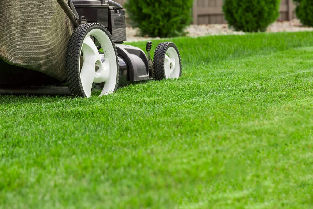 Lawn mower on the green grass