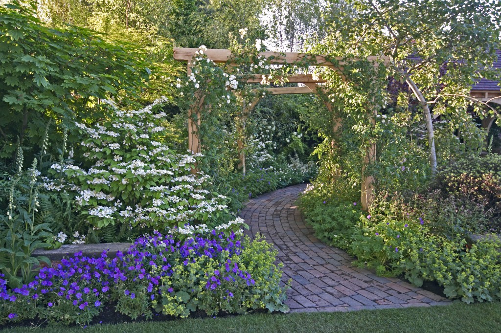 Garden with a pathway