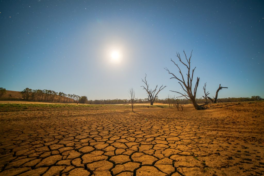 dry and cracked land during drought