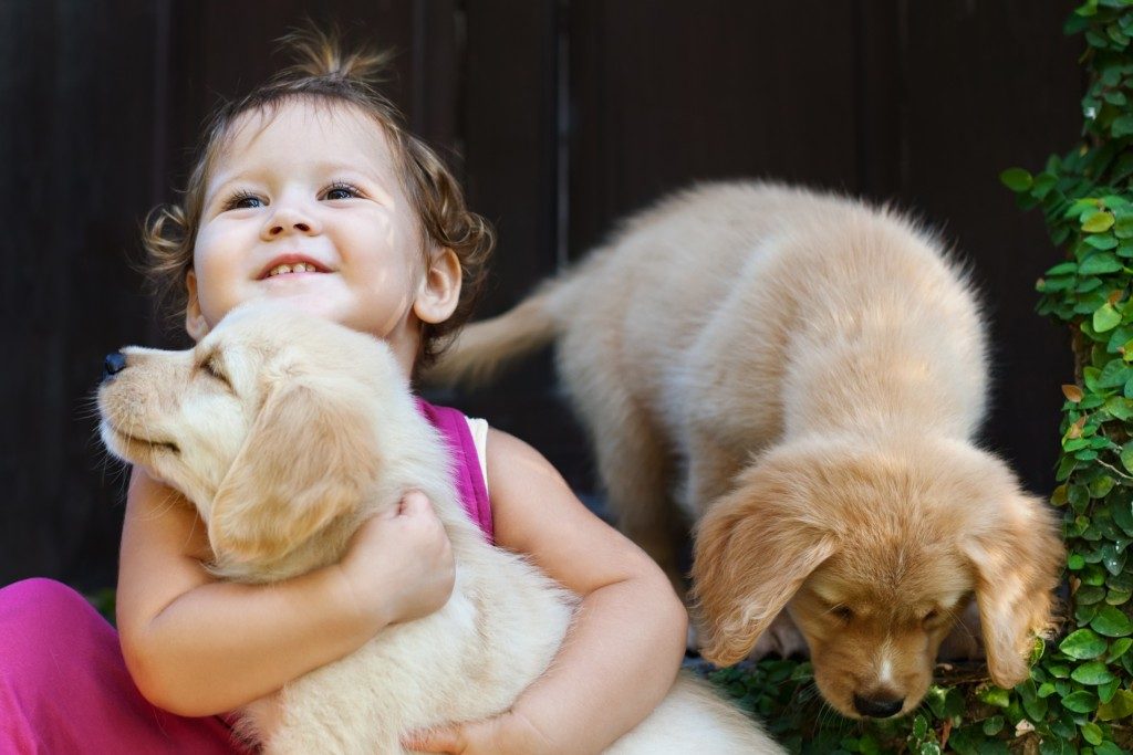 Little girl with 2 puppies
