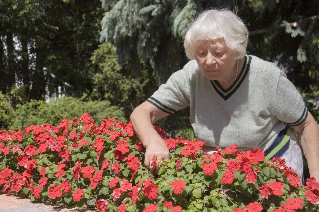 Elderly woman checking the flowers